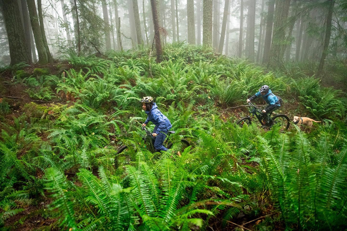 Cannon Butik -Cannon Butik afg