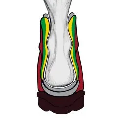 Cannon Butik -Cannon Butik art 93 648 3 1280x1280